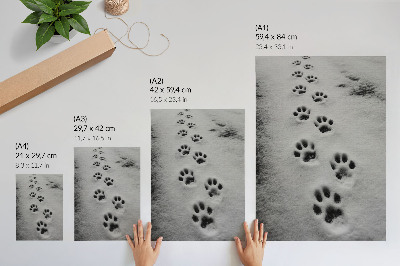 Wandposter Pfotenabdrücke im weißen Schnee – ein Hauch von Geheimnis