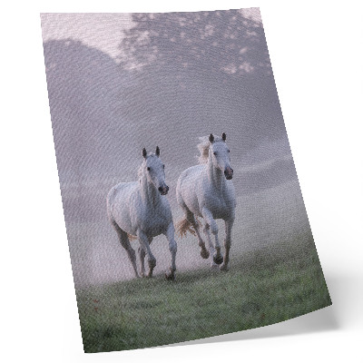 Poster Weiße Pferde, Morgennebel, Weltraum, Natur