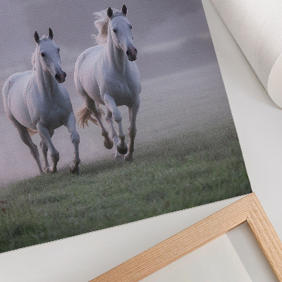 Poster Weiße Pferde, Morgennebel, Weltraum, Natur