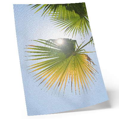 Wandposter Palmenblätter vor blauem Hintergrund Sonnenlicht