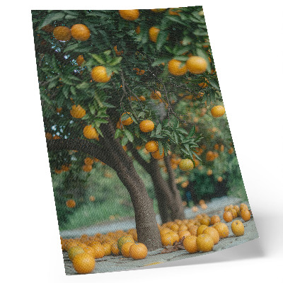 Kunstdruck leinwand Saftige Orangen an einem Baum in einem grünen Obstgarten