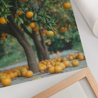 Kunstdruck leinwand Saftige Orangen an einem Baum in einem grünen Obstgarten