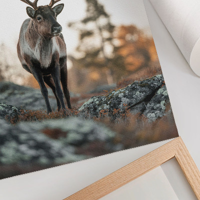 Wandposter Hirsche vor einer Kulisse aus Felsen und Bäumen in einer Herbstlandschaft