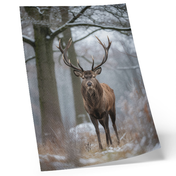 Kunstdruck leinwand Hirsche im Winter, majestätischer Wald in Grautönen