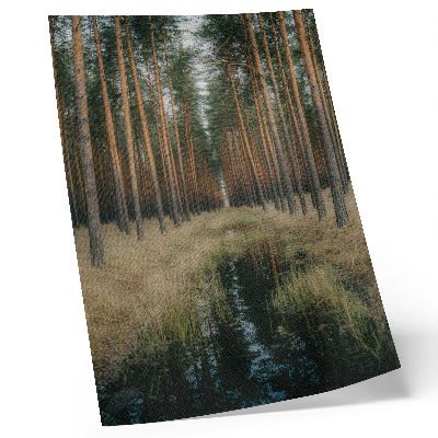Poster Einfache Waldlandschaft, hoher Wald, Symmetrie