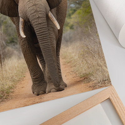 Kunstdruck leinwand Elefant auf einem Pfad in einer afrikanischen Landschaft