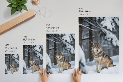 Poster Wolf im Winterwald, Naturstille, Eleganz