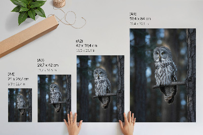 Wandposter Dunkle Waldeule im Rampenlicht
