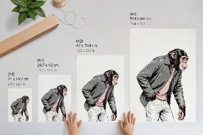 Kunstdruck leinwand Stilvoller Schimpanse in einer Jacke mit kontrastierendem Grafikmuster
