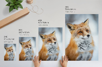 Poster Porträt eines fröhlichen Fuchses in winterlicher Umgebung
