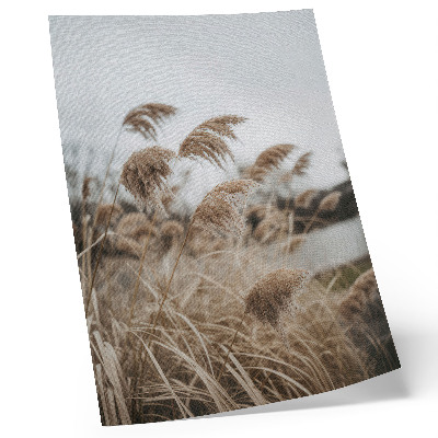 Poster Zarte Grashalme, braungraue Naturatmosphäre