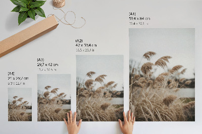 Poster Zarte Grashalme, braungraue Naturatmosphäre