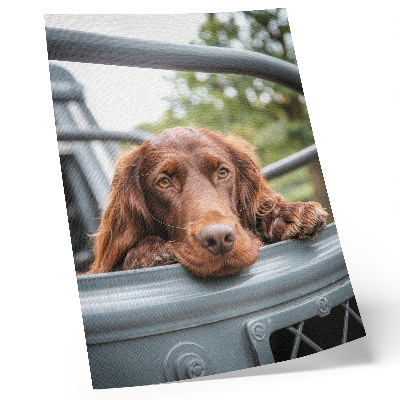 Kunstdruck leinwand Brauner Hund neben dem Fahrzeug, grüne Bäume