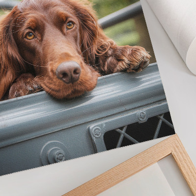 Kunstdruck leinwand Brauner Hund neben dem Fahrzeug, grüne Bäume