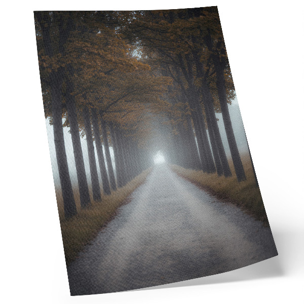 Kunstdruck leinwand Herbstlicher Nebel in einer Gasse, symmetrische, harmonische Komposition