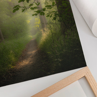 Wandposter Grüne Blätter, Lichtstrahl, Waldweg