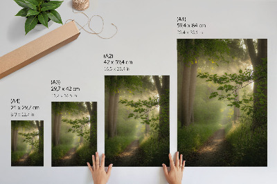 Wandposter Grüne Blätter, Lichtstrahl, Waldweg