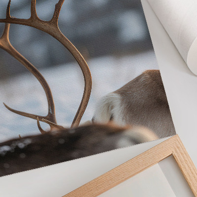 Poster Rentiere mit Geweihen – Harmonie in der Winterlandschaft