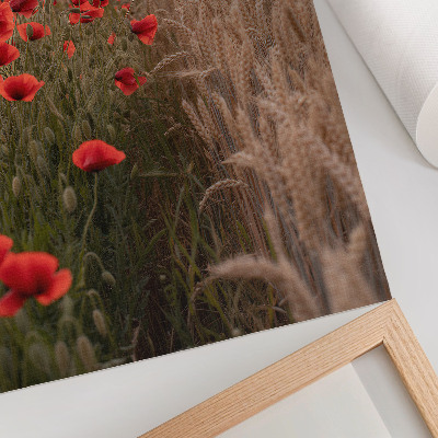Wandposter Mohnblumen im Sonnenuntergang – harmonische Farben der Natur