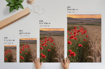 Wandposter Mohnblumen im Sonnenuntergang – harmonische Farben der Natur