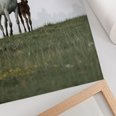 Wandposter Die Schönheit der Natur und der beruhigende Anblick der Pferde