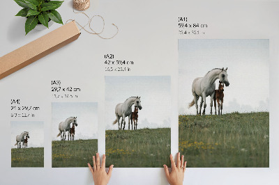 Wandposter Die Schönheit der Natur und der beruhigende Anblick der Pferde