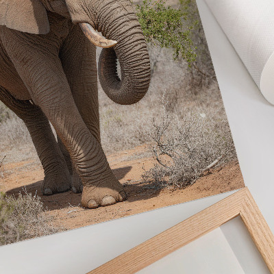 Kunstdruck leinwand Elefant in der Savanne, majestätische afrikanische Natur