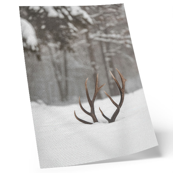Wandposter Winterlandschaft mit Geweihen im Schnee