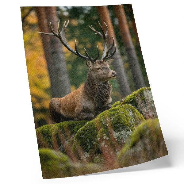 Kunstdruck leinwand Ein majestätischer Hirsch in einer Waldlandschaft