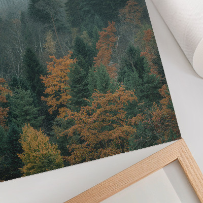 Wandposter Grüne Bäume, Nebel, orange Blätter, Frieden