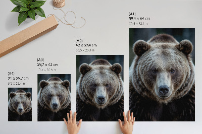 Kunstdruck leinwand Realistisches Porträt eines Bären, ruhig und stark