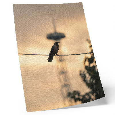 Kunstdruck leinwand Vogel auf einer Leitung, Abendhimmel, zarter Hintergrund