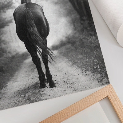 Kunstdruck leinwand Schwarz-weißes Pferd im Wald – Fotografie