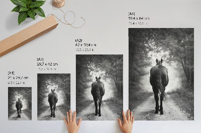 Kunstdruck leinwand Schwarz-weißes Pferd im Wald – Fotografie
