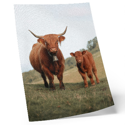 Wandposter Ländliche Rinder vor dem Hintergrund von Grün und Bäumen