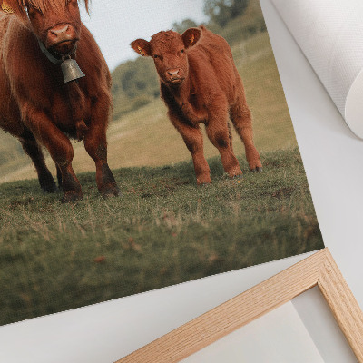 Wandposter Ländliche Rinder vor dem Hintergrund von Grün und Bäumen