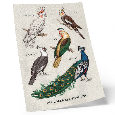 Kunstdruck leinwand Elegante Vögel, Federn, vielfältige Farben