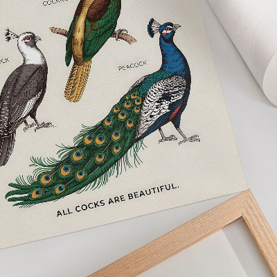 Kunstdruck leinwand Elegante Vögel, Federn, vielfältige Farben