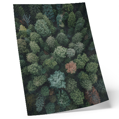 Wandposter Waldlandschaft von oben mit verschiedenen Blattfarben