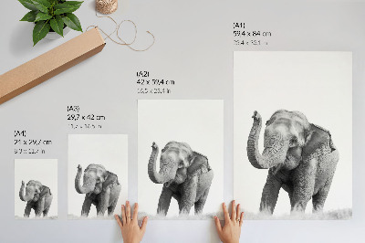 Poster Schwarzer Elefant mit erhobenem Rüssel