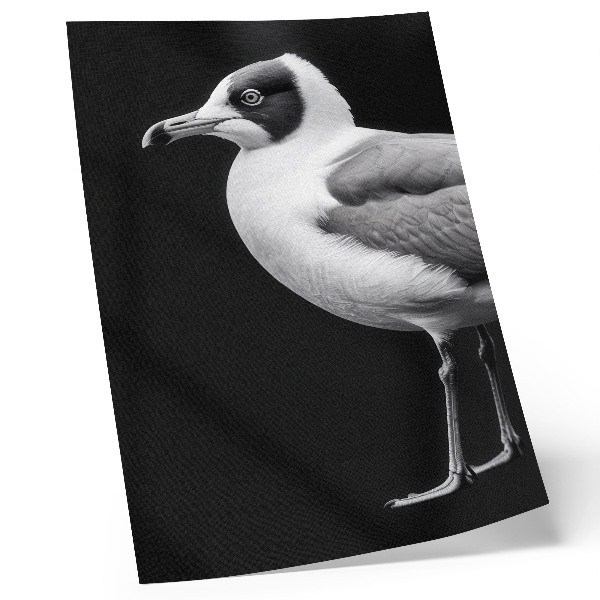 Wandposter Minimalistischer Stil kontrastiert Schwarz und Weiß Vogel