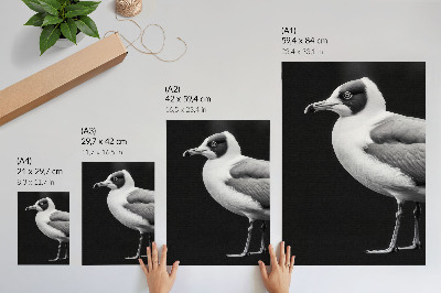 Wandposter Minimalistischer Stil kontrastiert Schwarz und Weiß Vogel