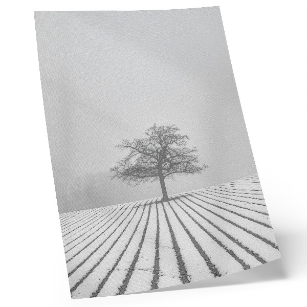Poster Baum im Schnee, Winterlandschaft, Minimalismus
