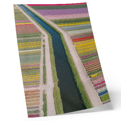 Poster Bunte Blumenstreifen entlang des Kanals
