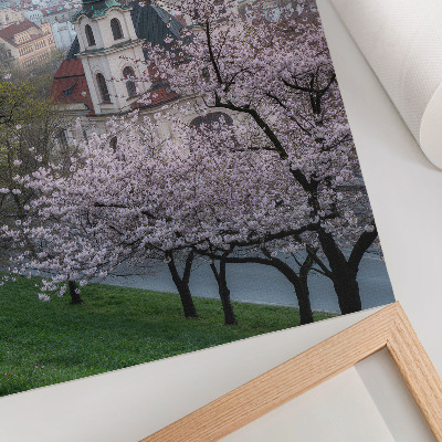 Wandposter Im Frühling ist die Stadt voller blühender Bäume und Kirchtürme.