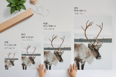 Wandposter Rentiere in einer Winterlandschaft mit beigem Fell