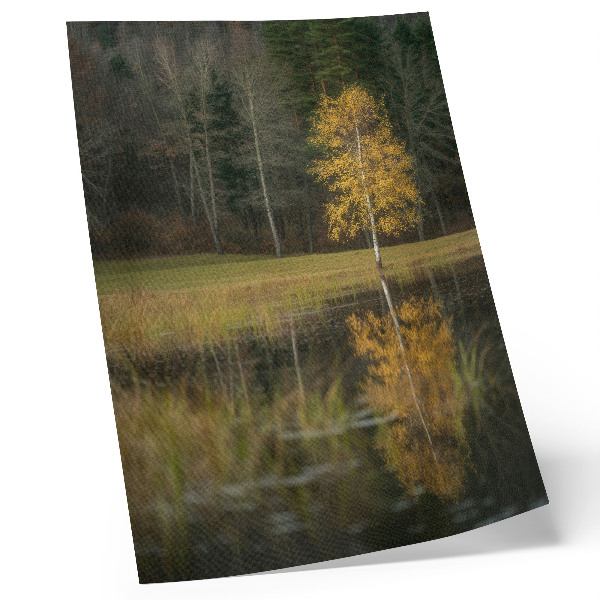 Poster Ein goldener Baum vor dem Hintergrund eines dunklen Waldes und eines Sees