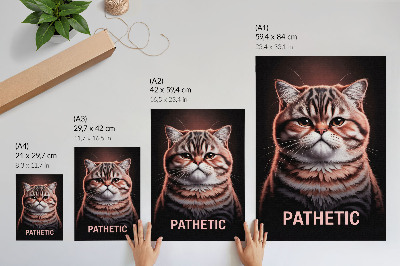 Poster Porträt einer Katze mit markantem Fell und tiefem Blick