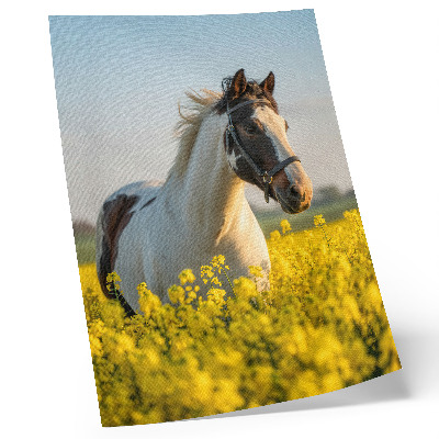 Kunstdruck leinwand Ein elegantes Pferd auf einer Frühlingswiese voller Blumen
