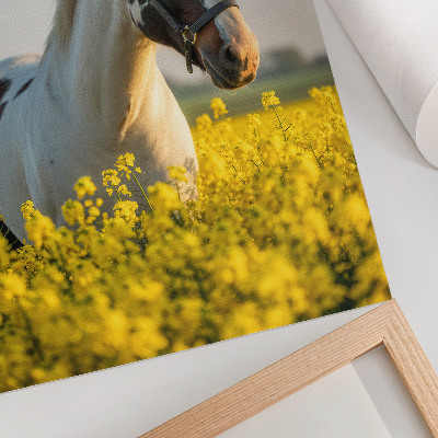 Kunstdruck leinwand Ein elegantes Pferd auf einer Frühlingswiese voller Blumen